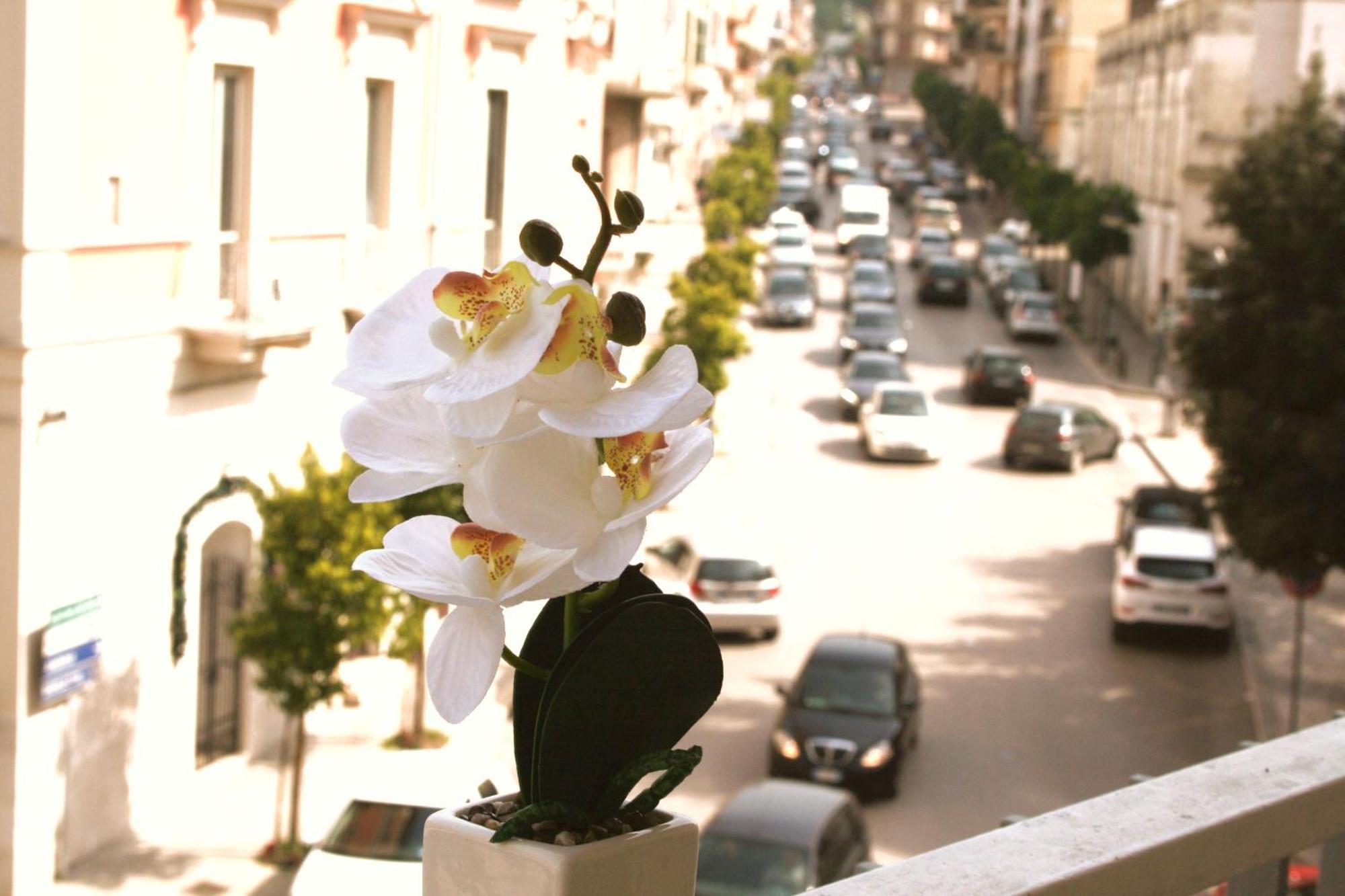 Dimore Demetra Canosa di Puglia Exteriör bild